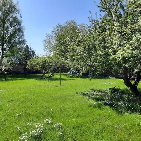 Haus Reinhild - 2 In Der 1 Etage Apartmán *